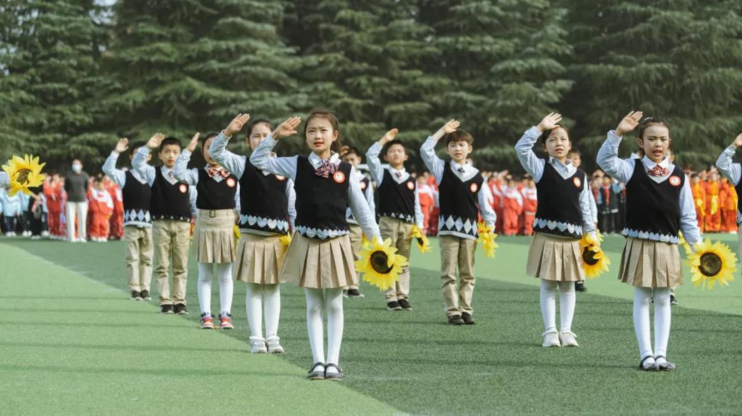 运动赛场展雄姿征文,运动盛会展风采