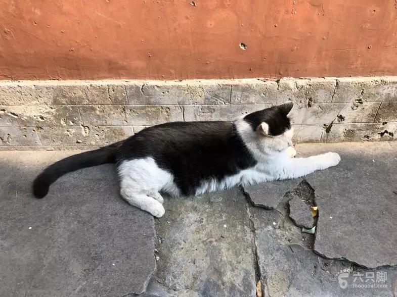 途途北京一日游攻略带娃,途游北京