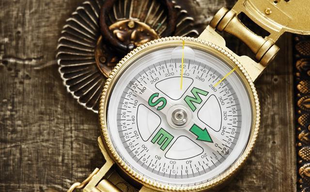 为什么狗狗便便后后腿蹬地,为什么狗狗排便前喜欢转圈圈