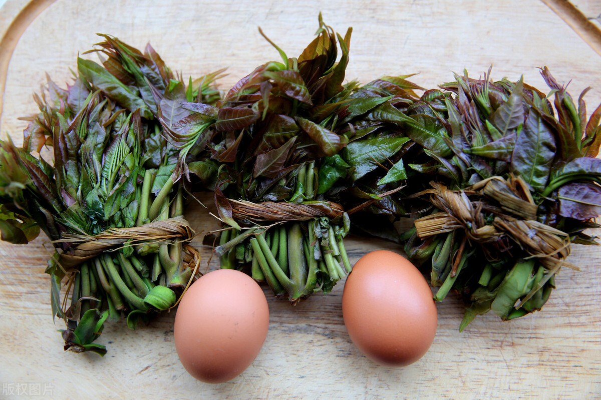 香椿的保存方法香椿酱怎么做,香椿用真空袋保存能放多长时间