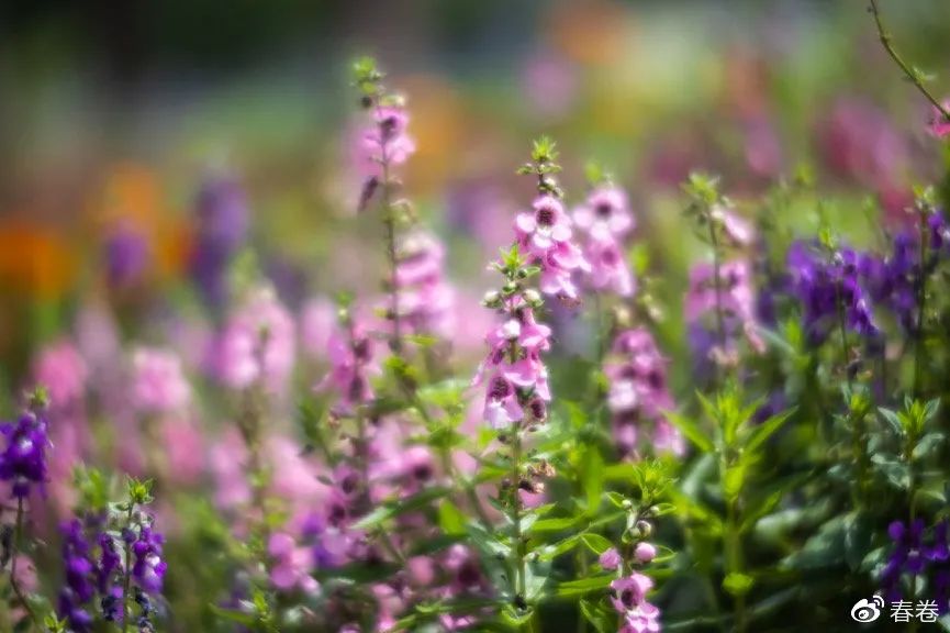 一镜多用的眼镜咋样,一镜多用多功能眼镜