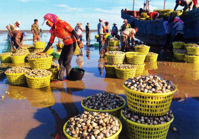 辽宁海边海鲜哪里好吃,辽宁海鲜哪最好