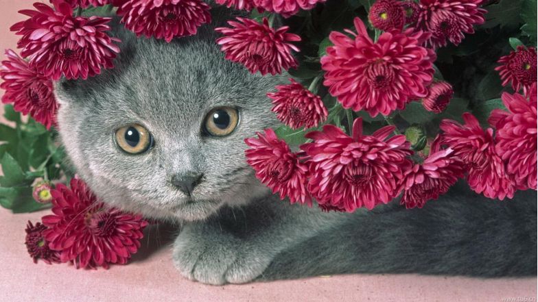 炒股10多年来我的感悟,炒股10年15条投资感悟