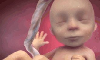 瀛愬寰堣杽浼氶暱鍘氬悧,瀛愬鏈夌偣钖勬湁浜嬪悧