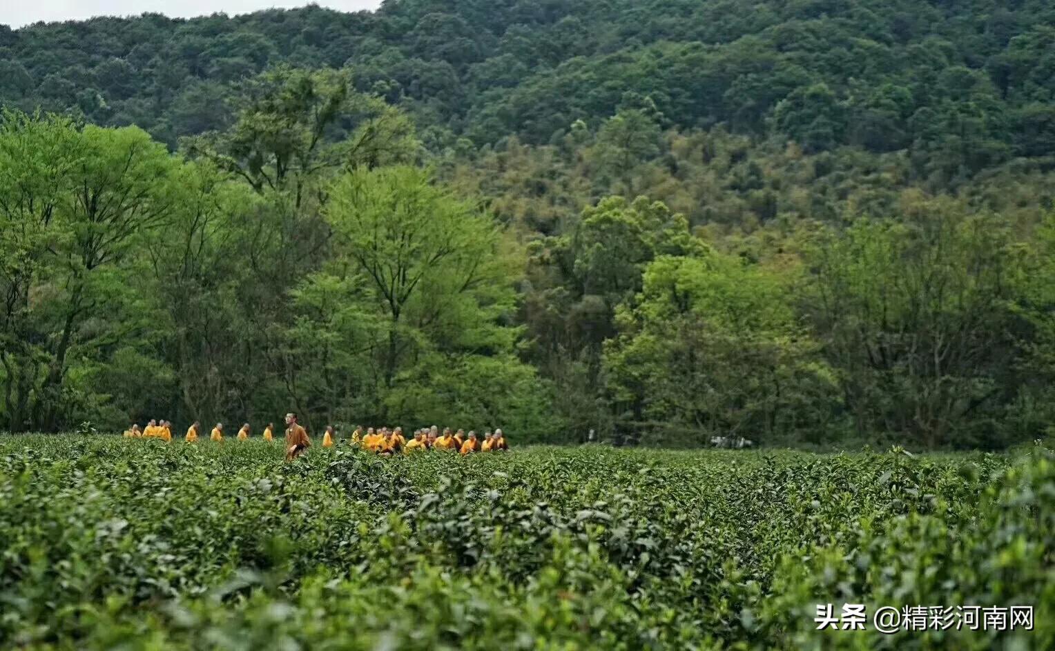 妙婵自叹,妙婵讲普通话