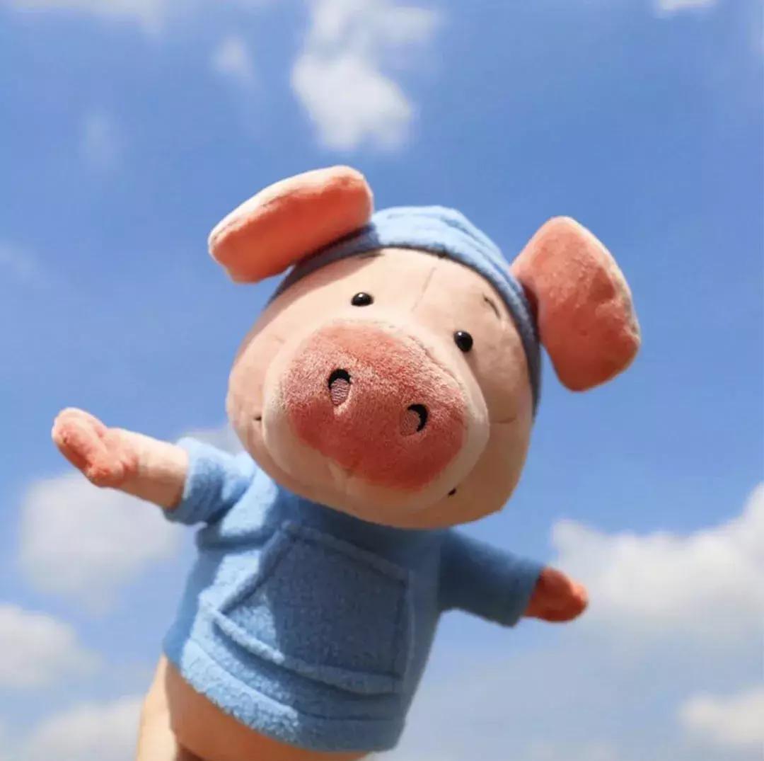 “穿你的AJ，让爱BB的人BB去吧”