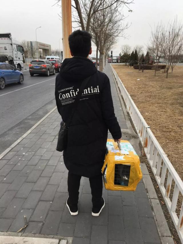 跑腿小哥的跑腿生活不简单,盘点那些跑腿小哥带给别人的话