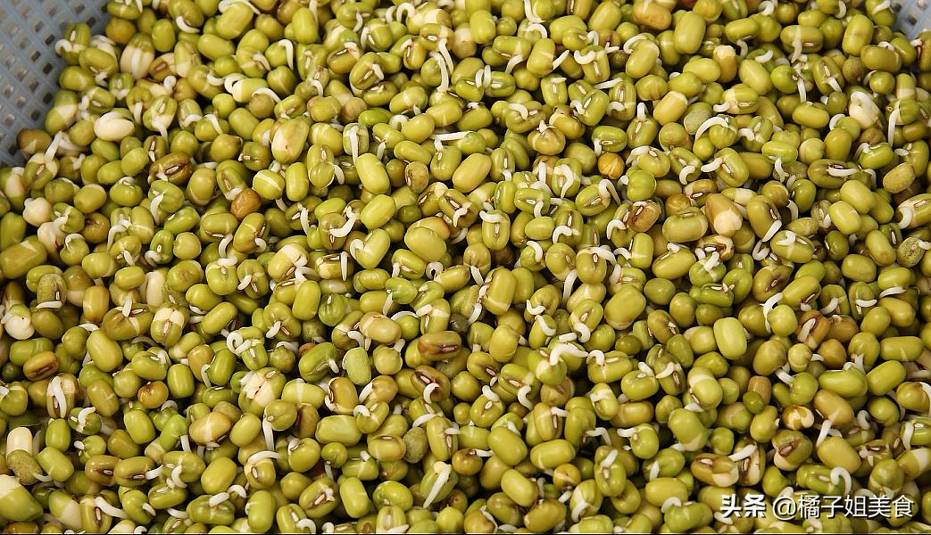 生豆芽的方法教程,生豆芽的方法和技术