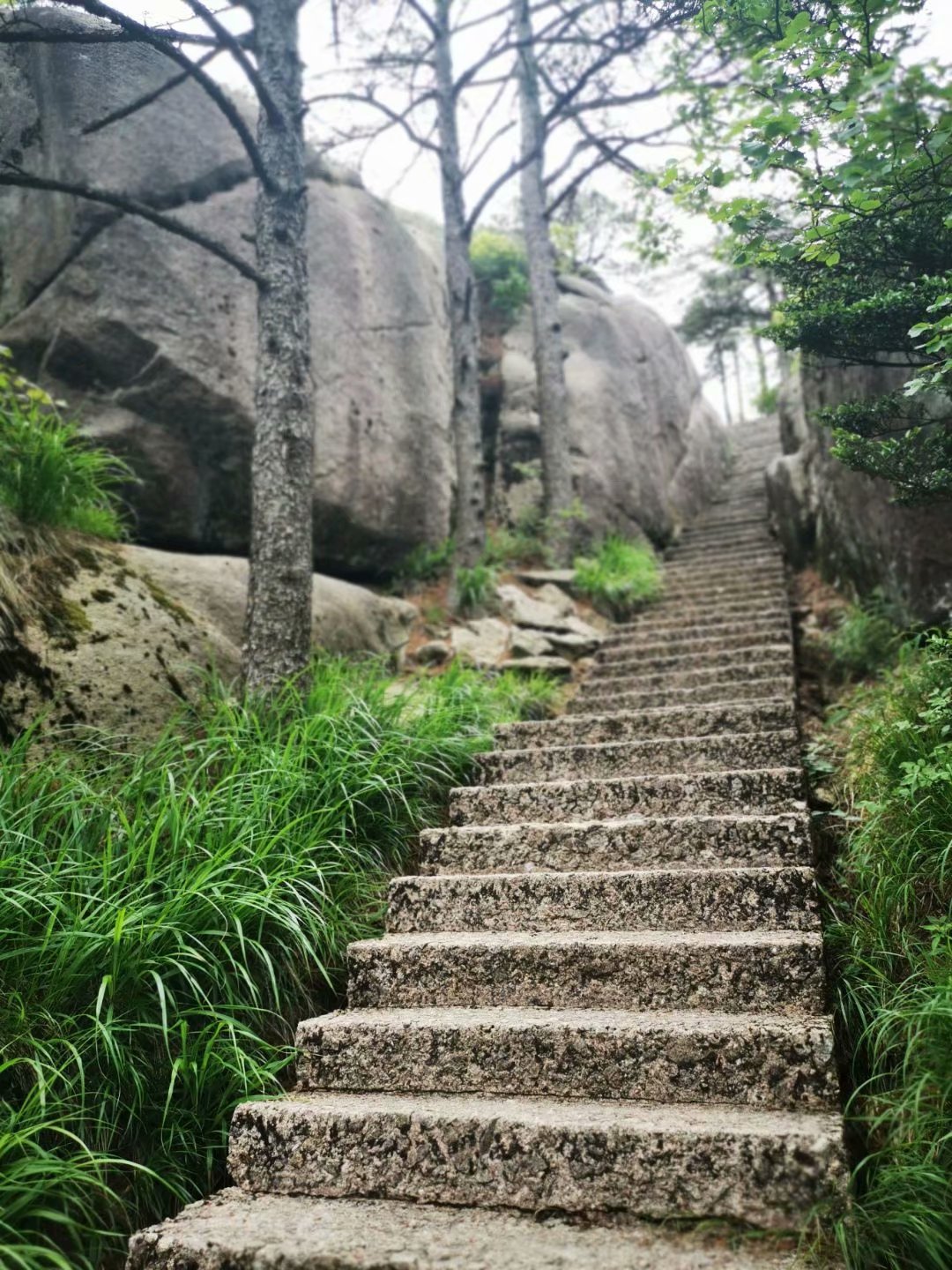 烂柯梦——仙游记(下)