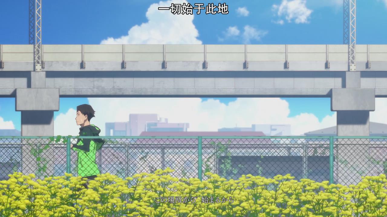 豆瓣评分高的运动番,唯一一部不想任何人输的运动番