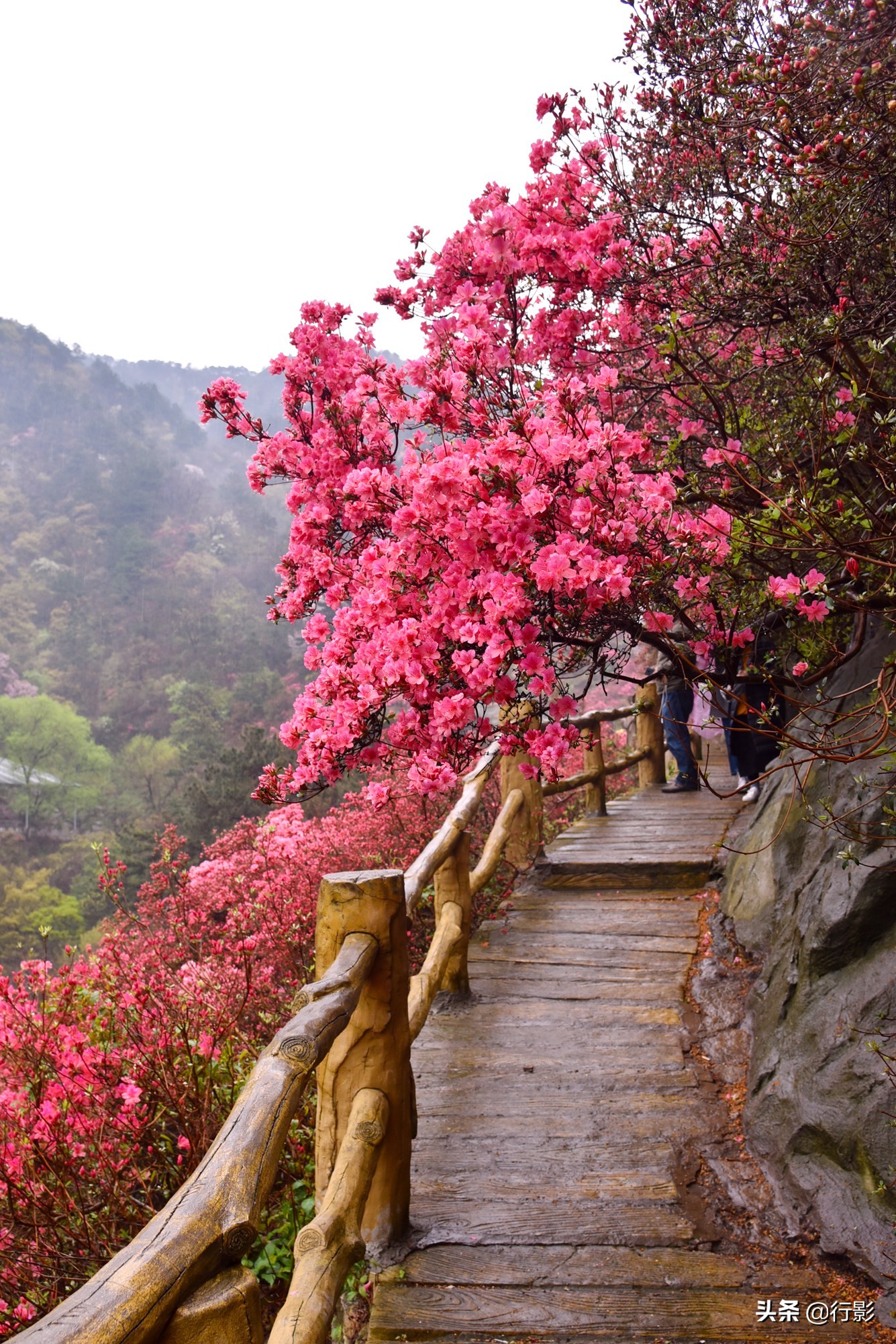 武汉青山网红打卡景点,云雾山武汉