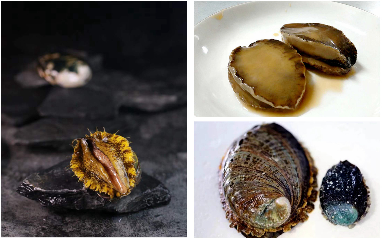 如何对付鲍鱼？且看我收集的厦门厨师这30道菜