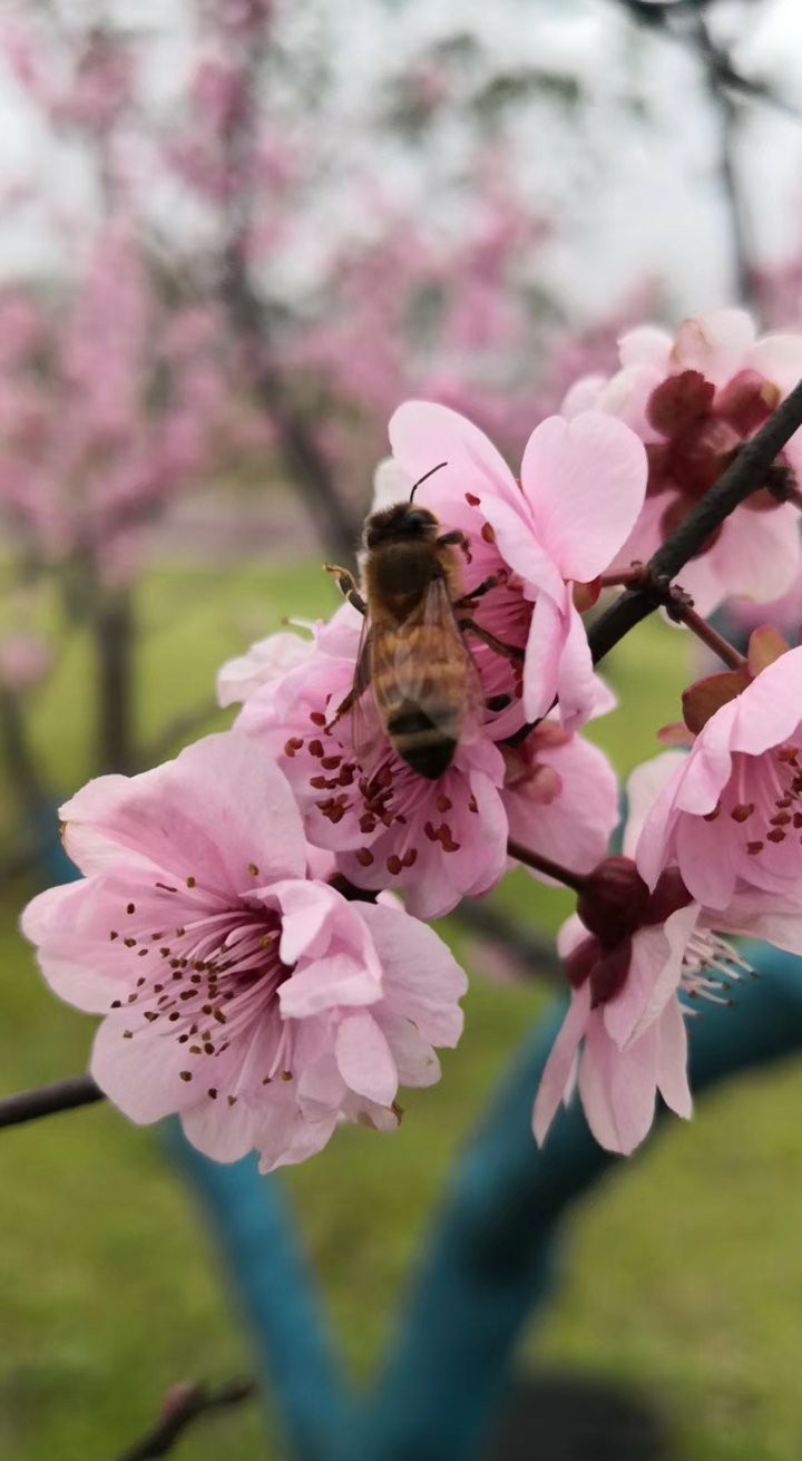 做摘抄使用哪些书比较好,做摘抄的好句子