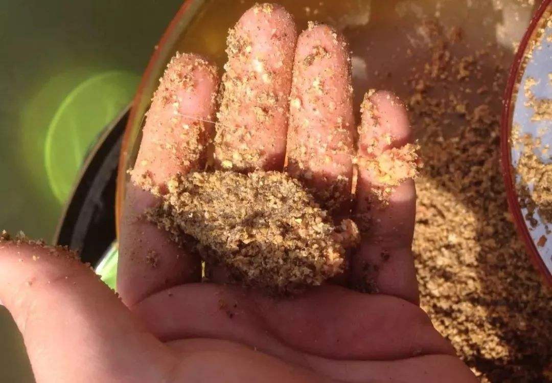 大板鲫饵料夏季搭配什么,大板鲫饵料天冷