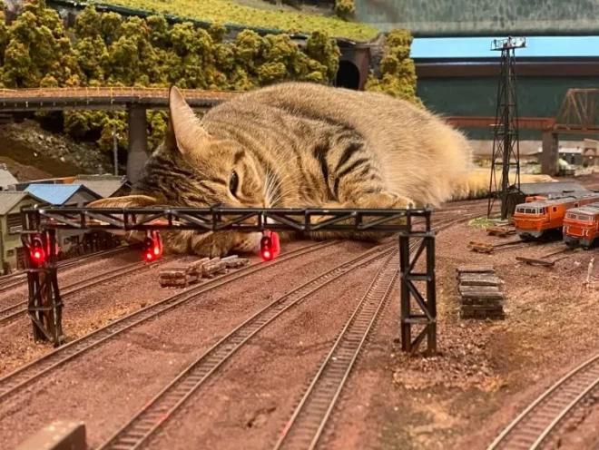 纪念吴孟达的外景视频,吴孟达纪念片完整版