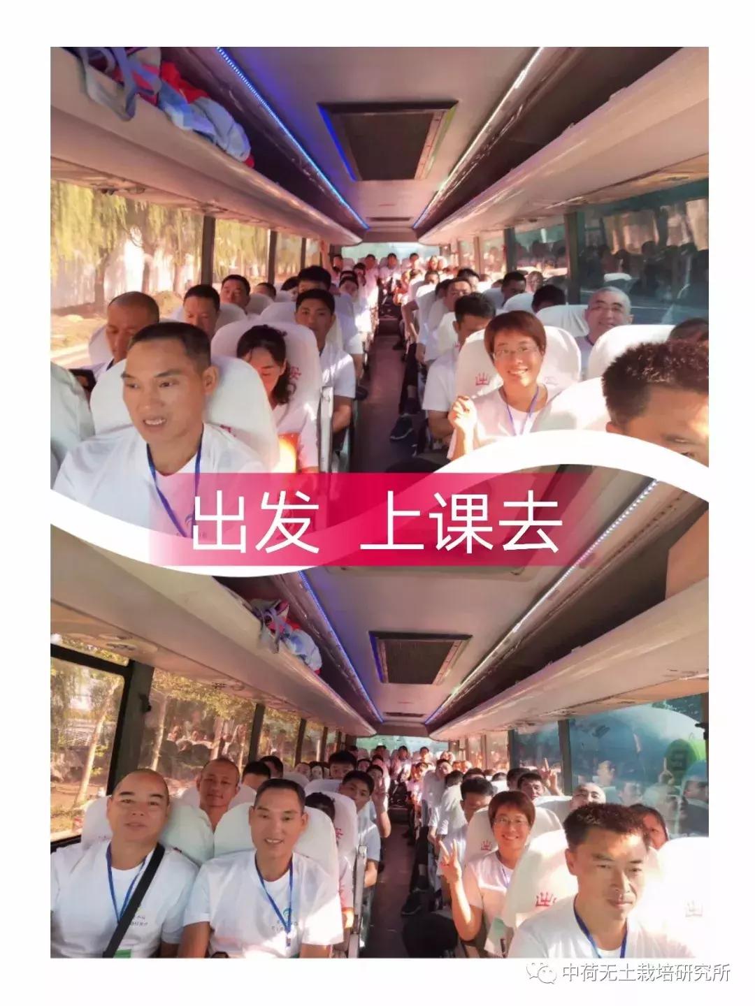 寿光无土栽培蔬菜技术培训书,寿光蔬菜无土栽培培训班