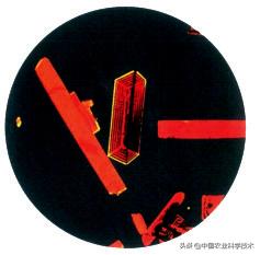 顾君华｜维生素的前世今生！