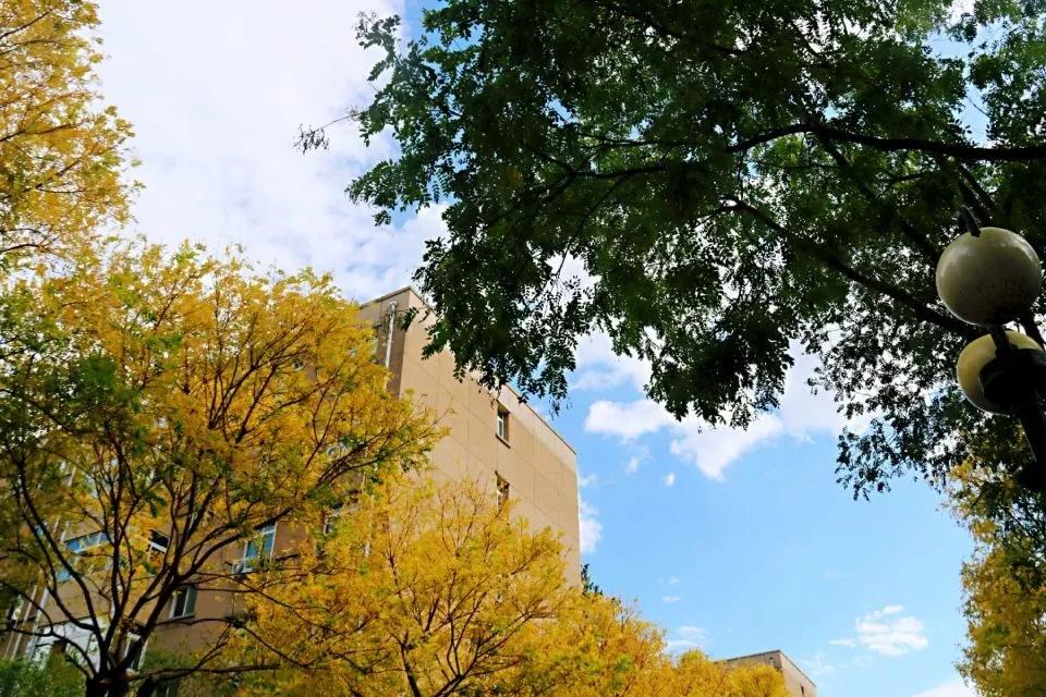 中国大学食堂排名前十有农大吗,985211的中国农业大学