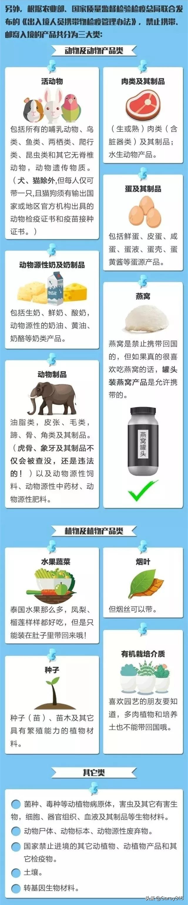 元旦出境旅游注意什么,春节出境游注意事项