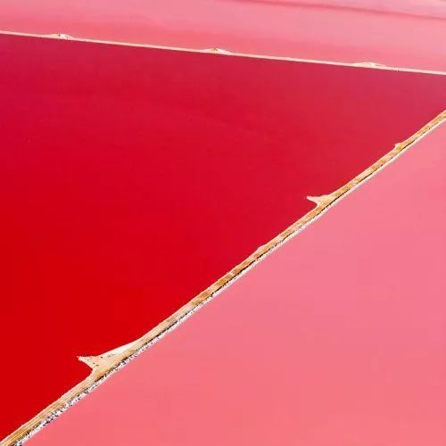 女神节有无与伦比的美丽,女神节浪漫游花海