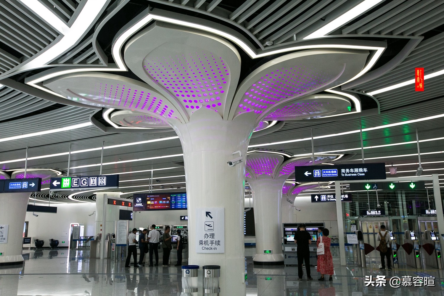 北京大兴免费景点网红打卡,大兴网红打卡旅游景区