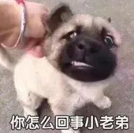 染厂订单最新消息,染厂停工对节后坯布价格有何影响