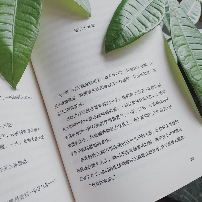 许三观卖血记的人生百态,许三观卖血记推荐一本书