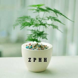 富贵竹绿萝冬天叶子都黄了怎么办,文竹绿萝怎么养才能更旺盛