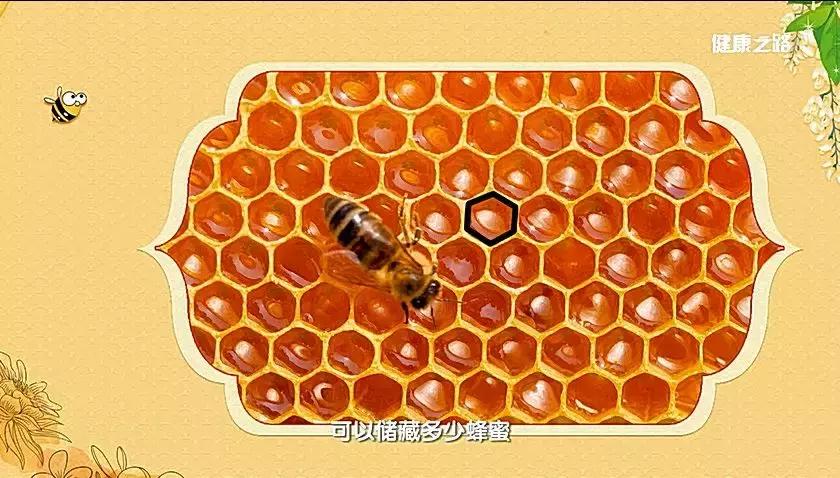 蜂产品知识有哪些,中国蜂产品基础知识