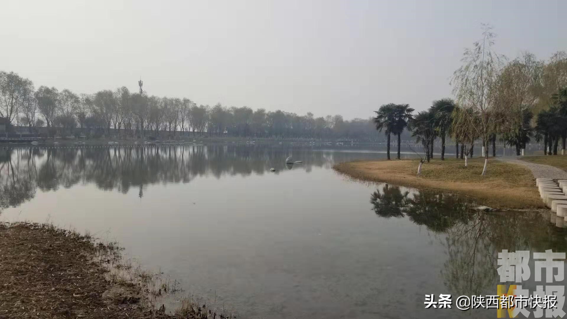 渭河生态治理2022,爱上新陕西之魅力浐灞