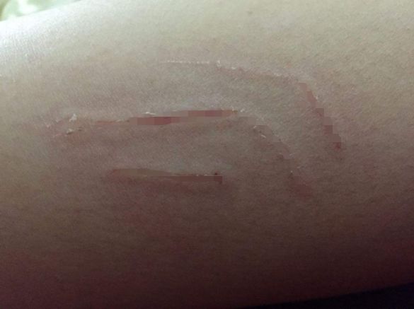 铲屎官对猫咪最不能做的事情,铲屎官误解猫咪的四种行为