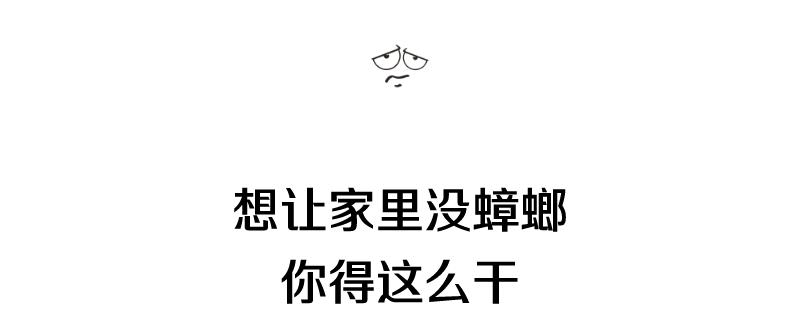 家中蟑螂怎么消灭最彻底,灭蟑王药是怎样消灭蟑螂的