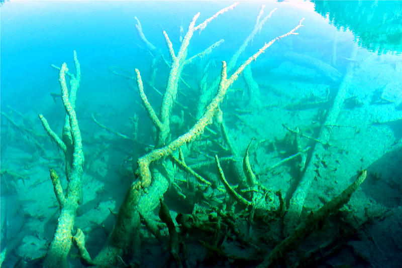 置身于童话中的九寨沟,畅游人间仙境黄龙九寨沟七日游