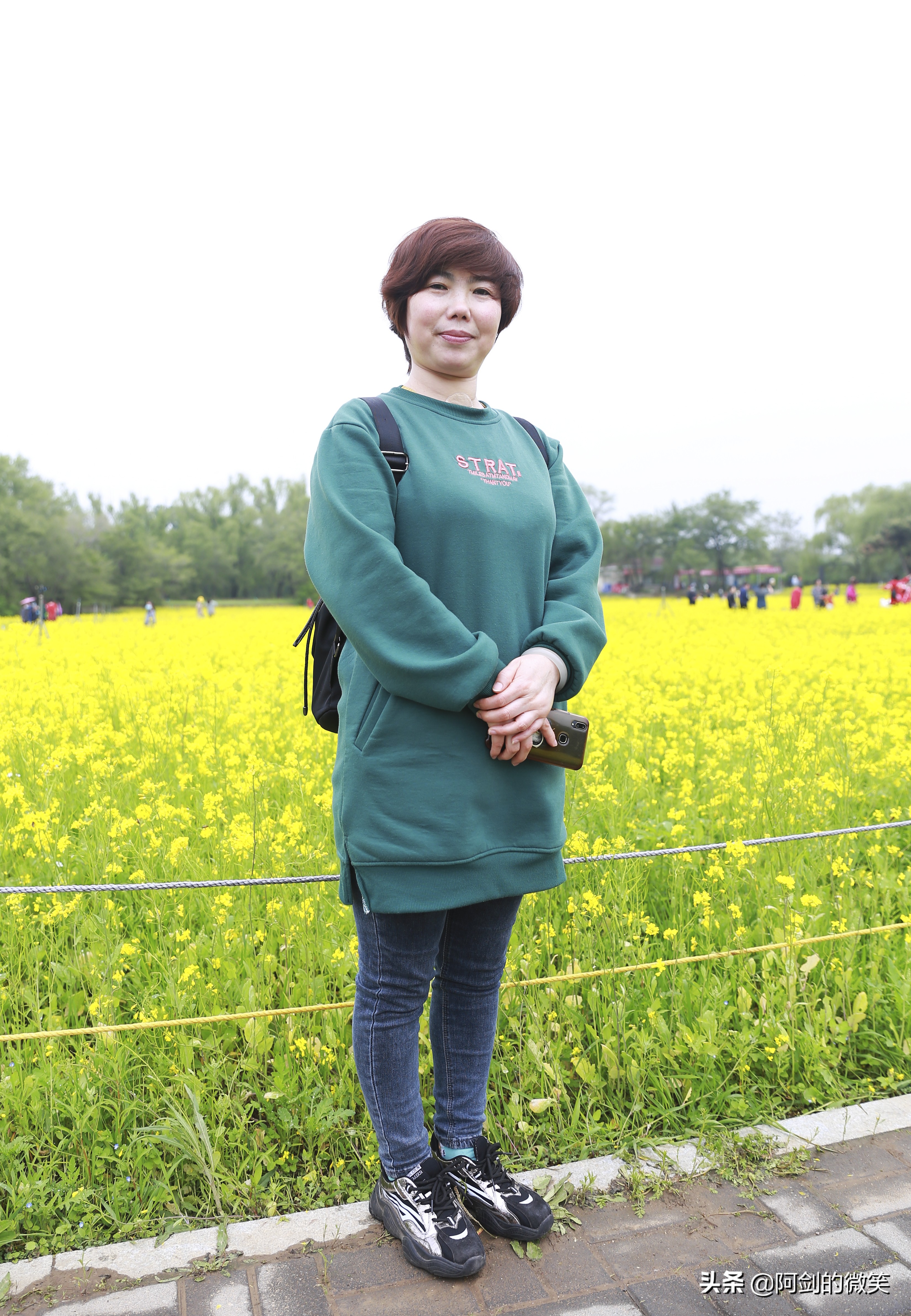 沈阳十一假期哪里有花海,沈阳玫瑰小镇温泉花海两日游