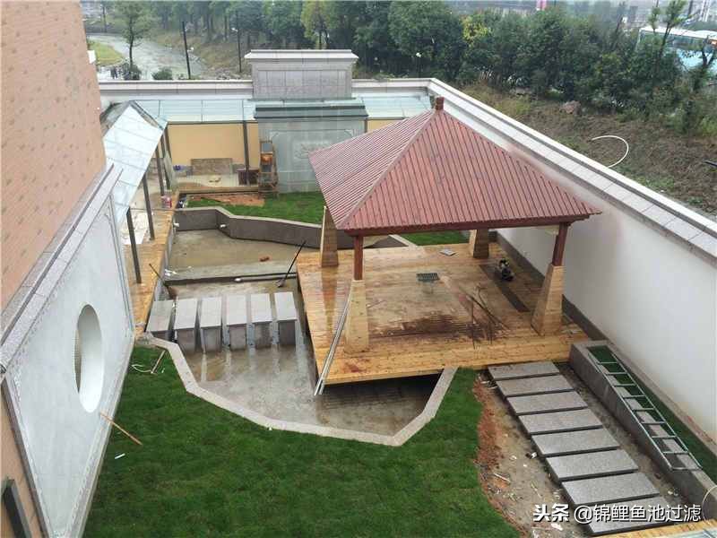 建造观赏性锦鲤池,打造一个锦鲤池要花多少钱