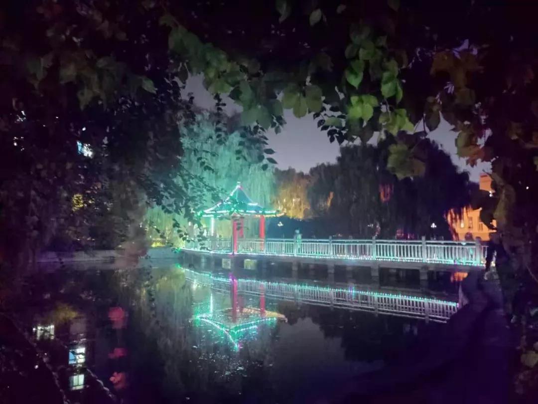 沈阳化工大学辽宁省排名,沈阳化工大学2020招生计划辽宁省