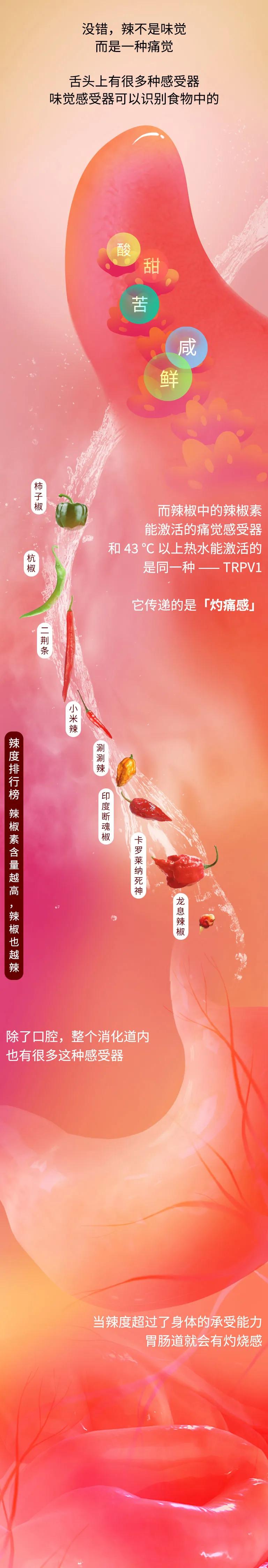 早餐吃辣的有什么危害,经常吃爆辣有什么危害