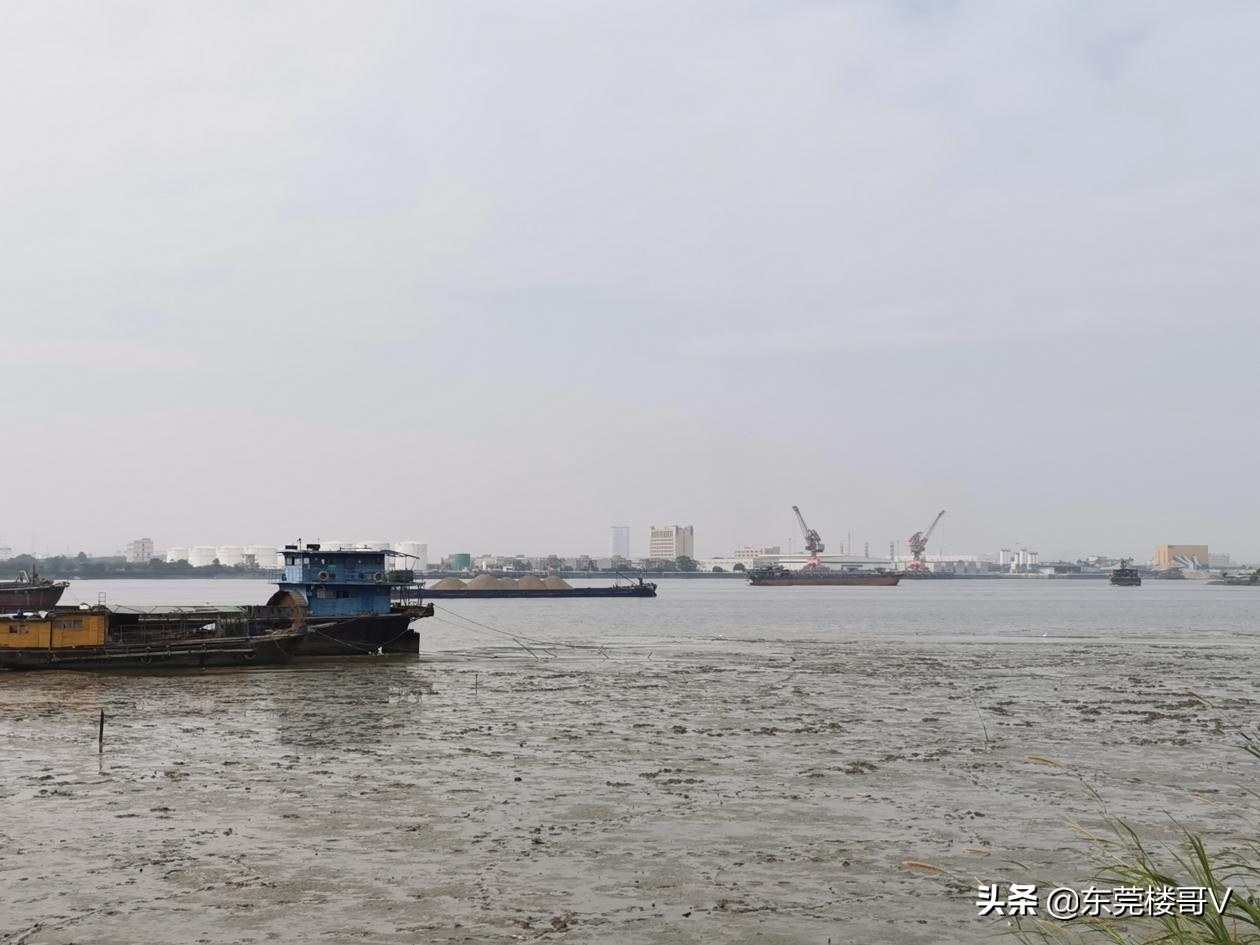 沙田碧桂园柏丽湾二期怎么样,沙田碧桂园柏丽湾入住率高不高