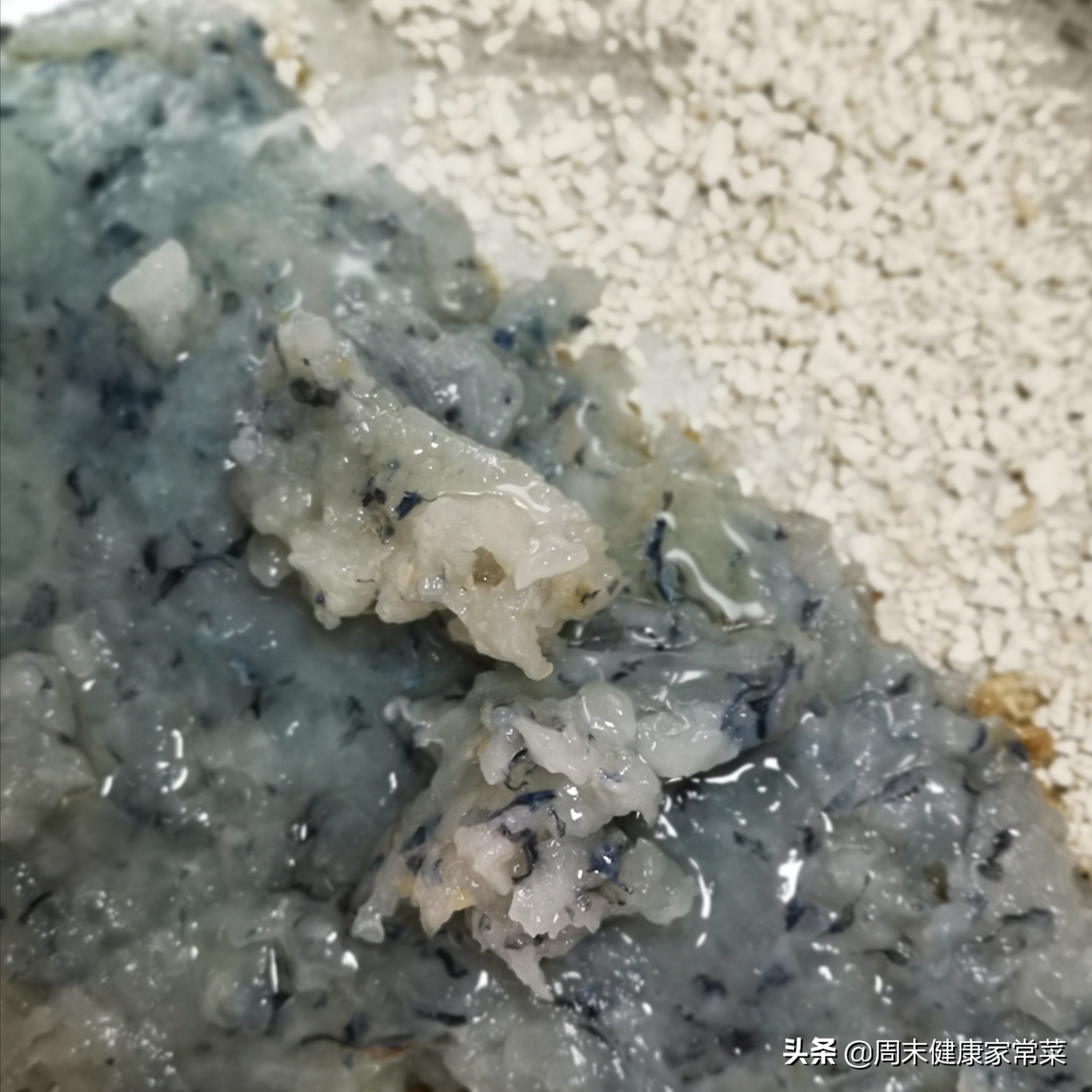 海虾买回来放多久不死,海虾活的怎么处理