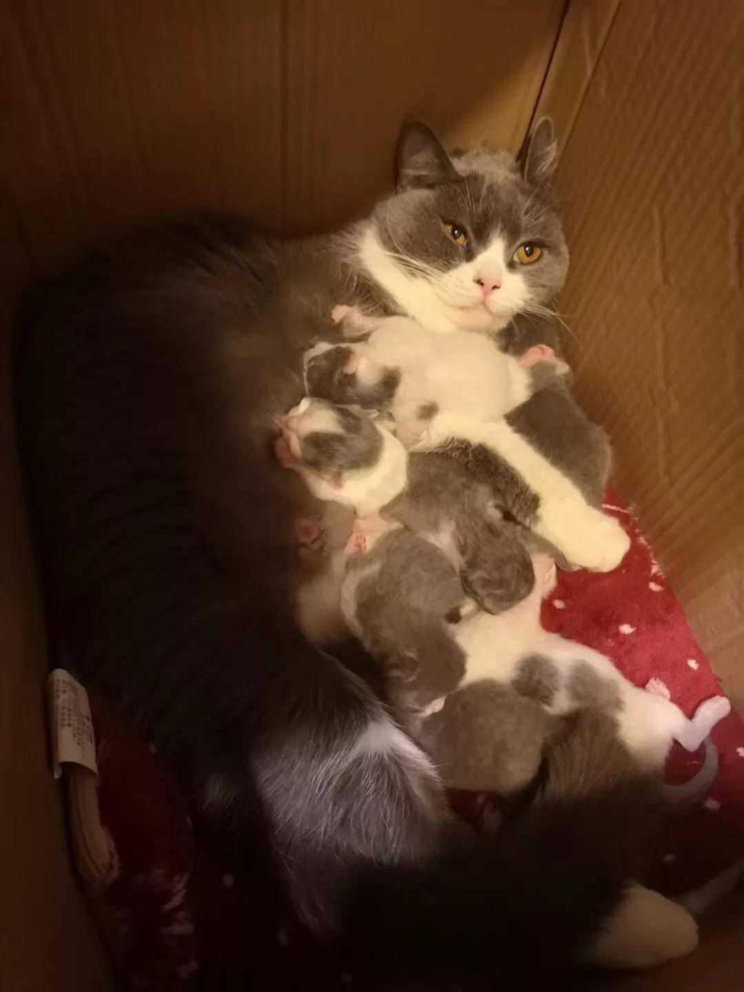 到家啦！辣友@园园的行李箱里装了半个四川的特产？