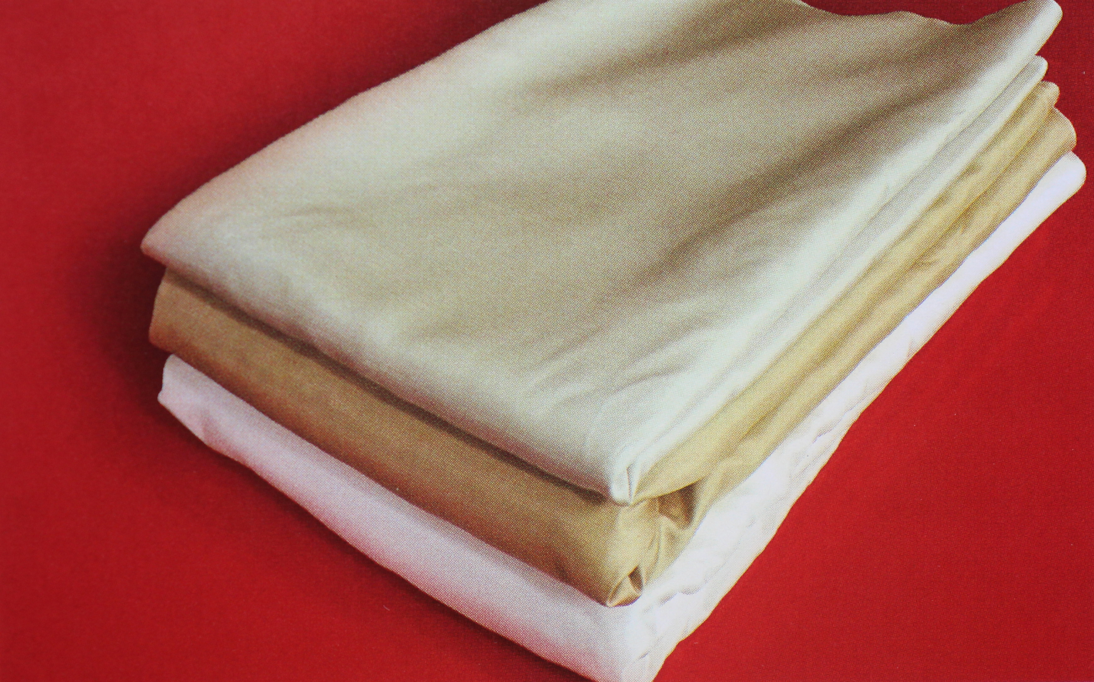 中国书画装裱形式最为常见的是,《中国书画装裱技法》