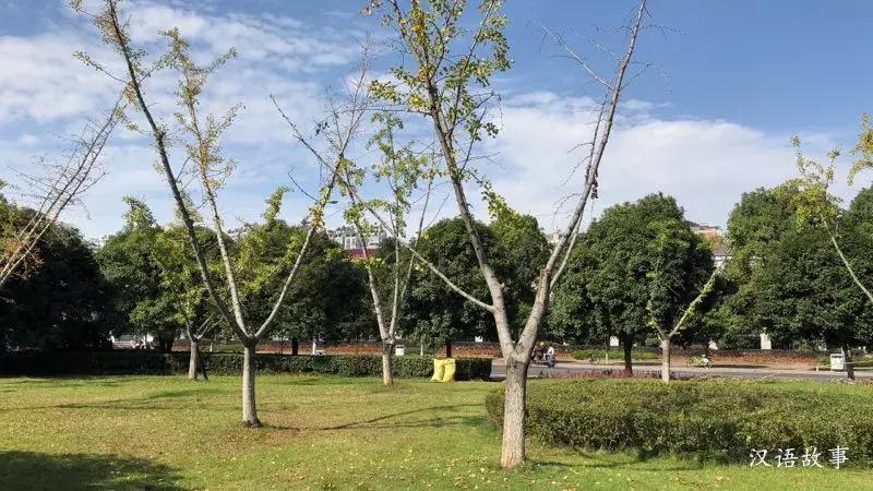 女儿是父母贴身的小棉袄（中英对照）