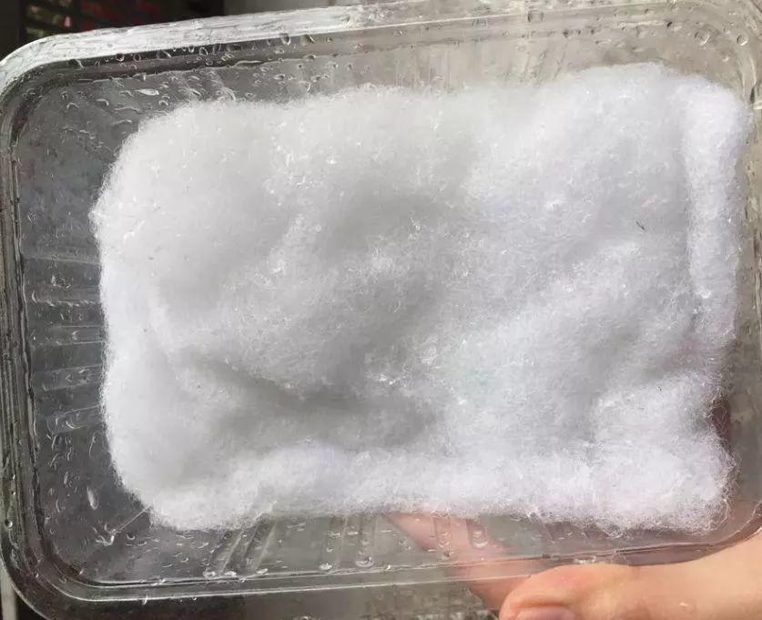 这3种多肉最适合新手,多肉扦插用什么方法最好