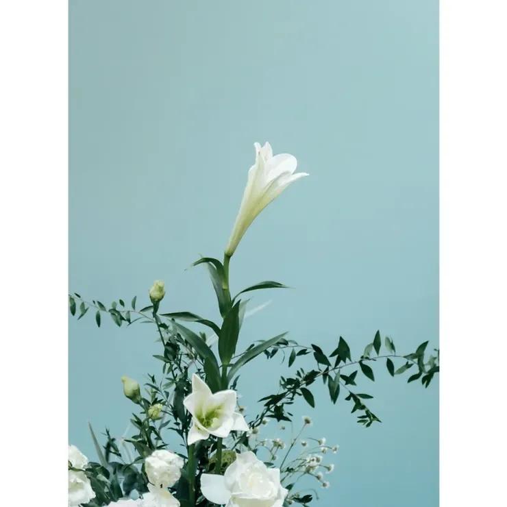 牛油果绿奶油风,牛油果绿极简奶油风