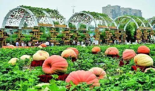 长春都来过哪些明星,长春即将来哪些明星