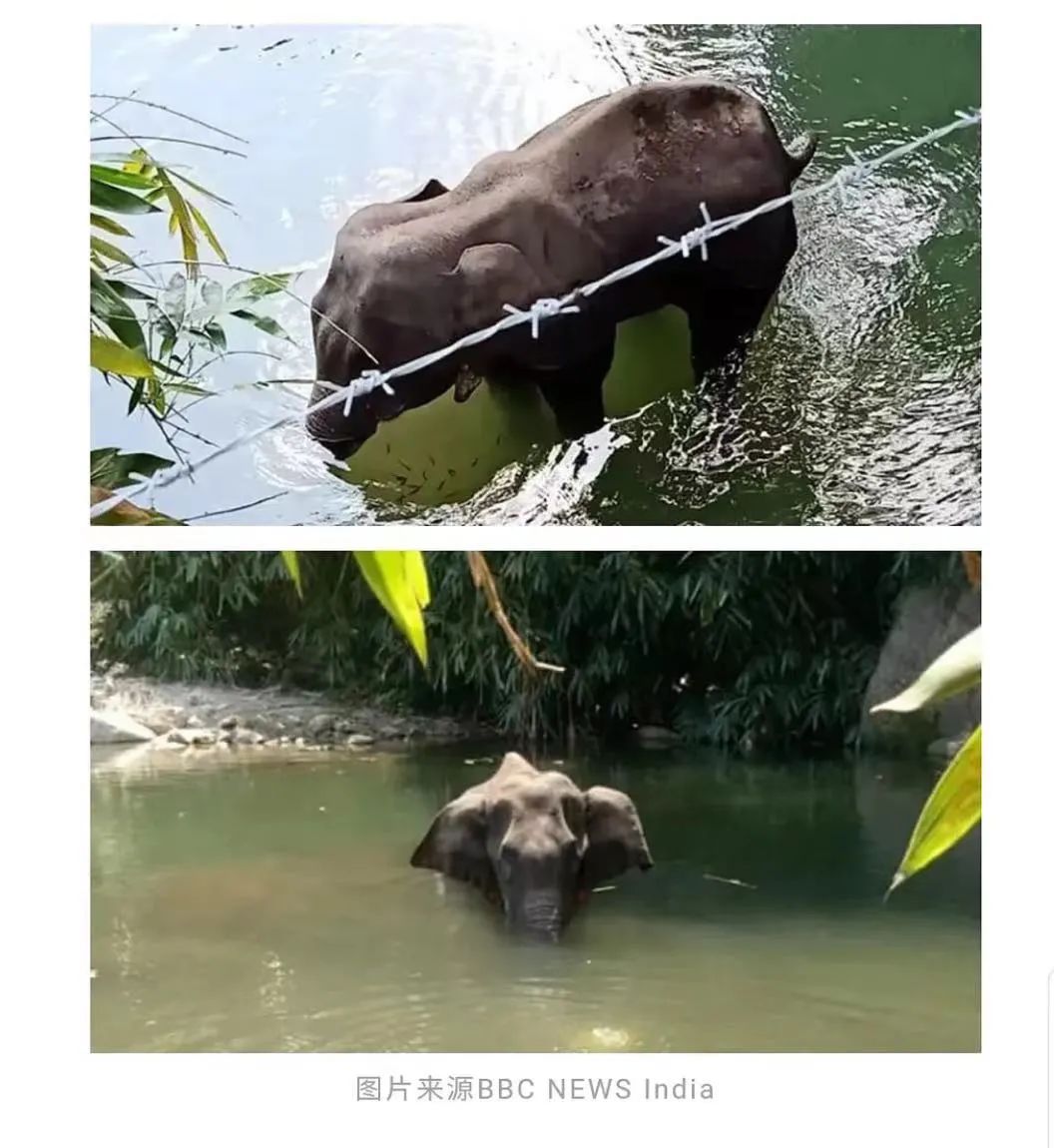 他们被杀之后，依然在爱你