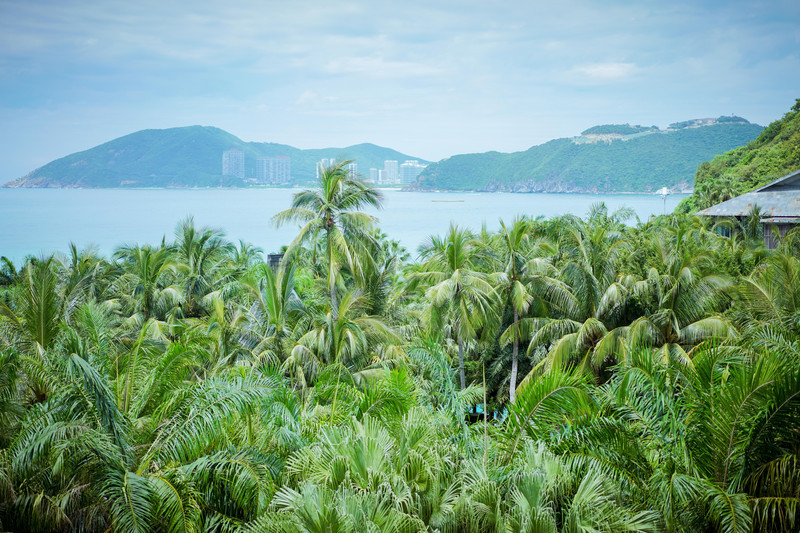 蜜月去海南,三亚蜜月旅行攻略最新