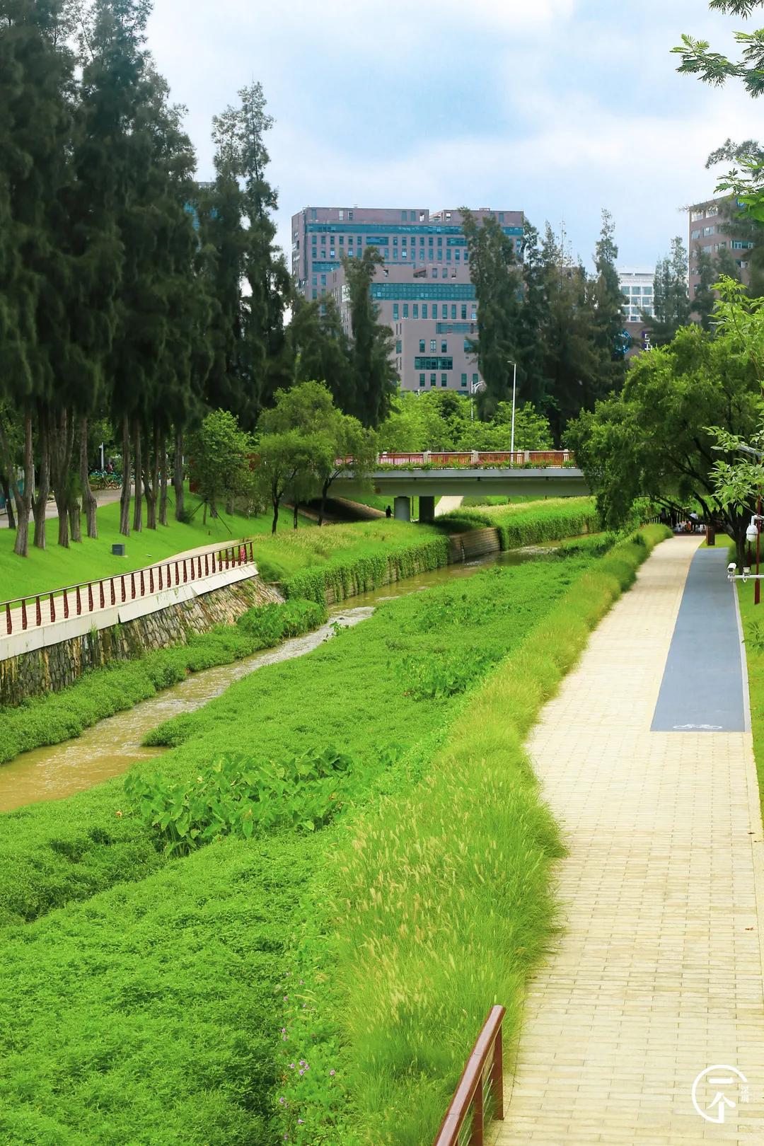 塘朗租房贵吗,西丽塘朗房租