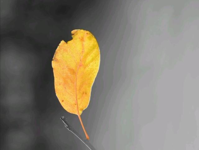 看透人心心酸的说说道尽人性冷暖,看透人心醒悟的句子说说