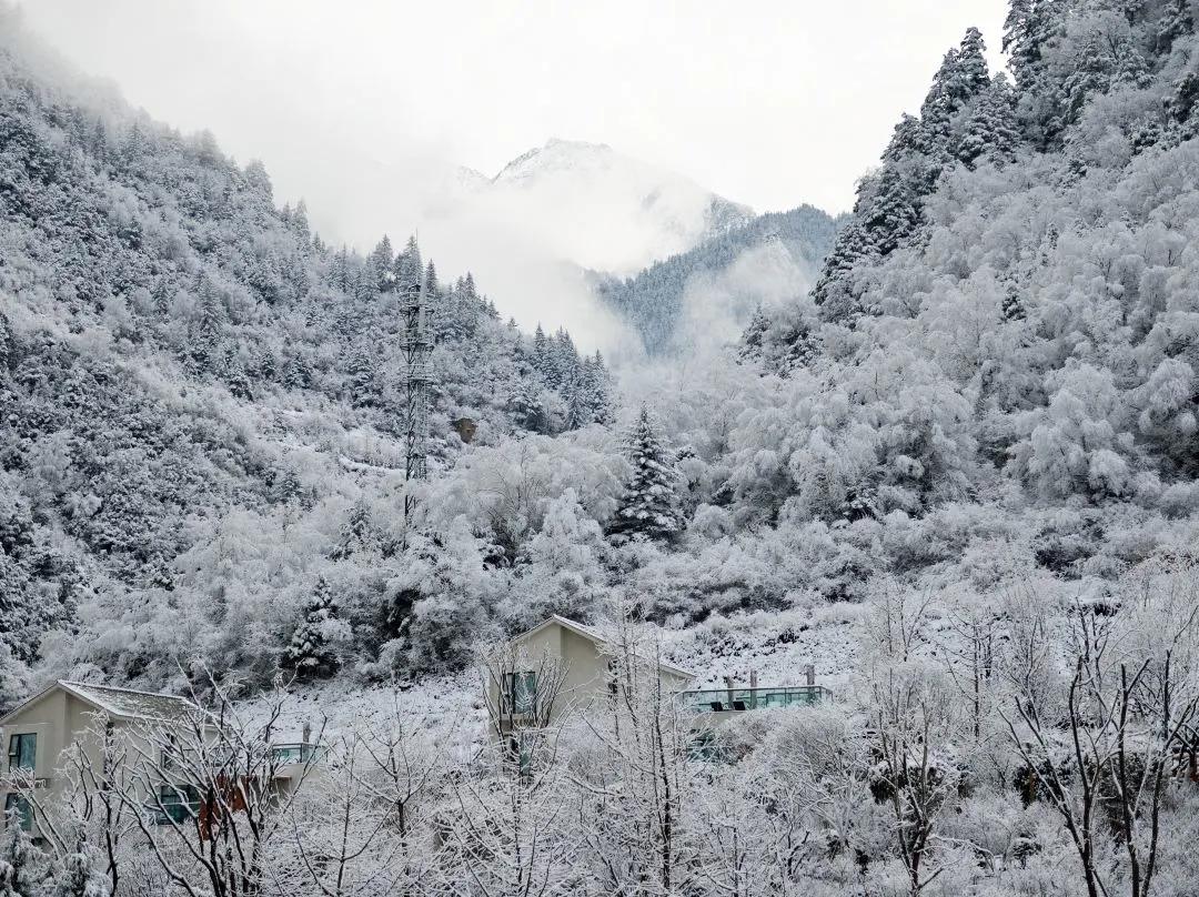 川西泡温泉看雪景,川西12月份最佳雪景泡温泉的地方
